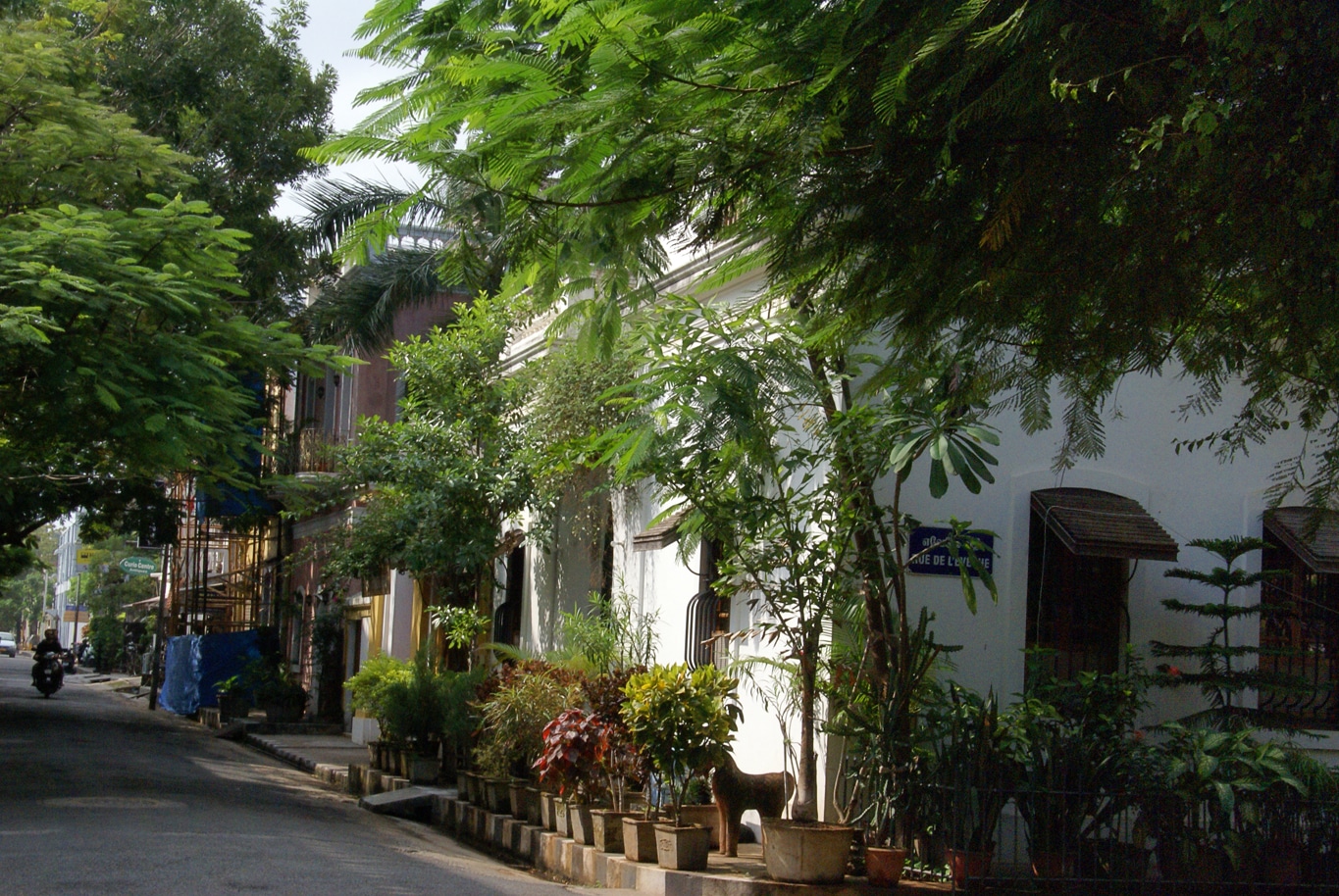 Angle de la rue de l'archevêché à Pondichéry maisons blanches noyées dans végétation luxuriante - Lors de mes voyages en Inde