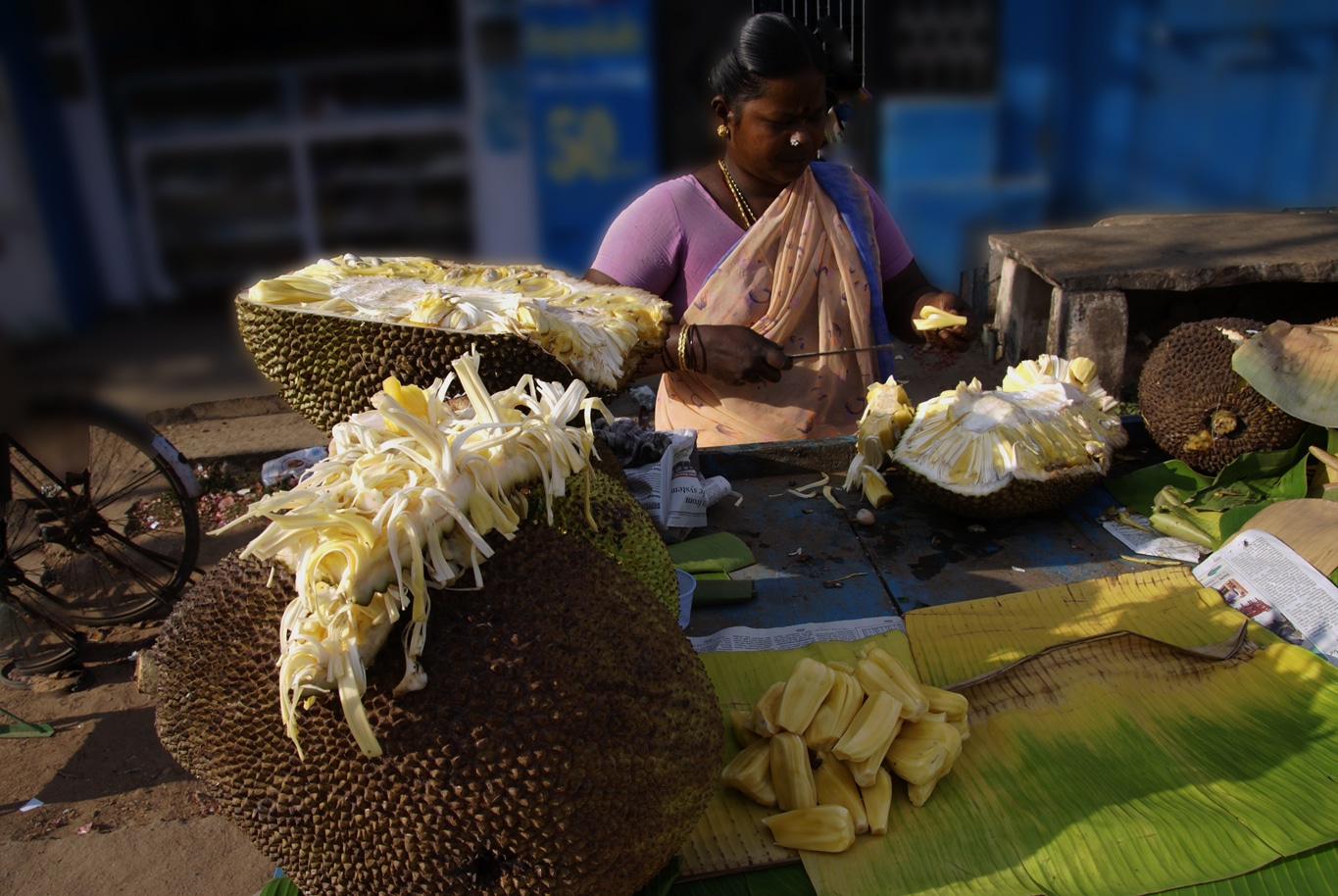 Vendeuse ambulante de jack fruit (fruit du jacquier) à Tanjore Lors de mes voyages en Inde