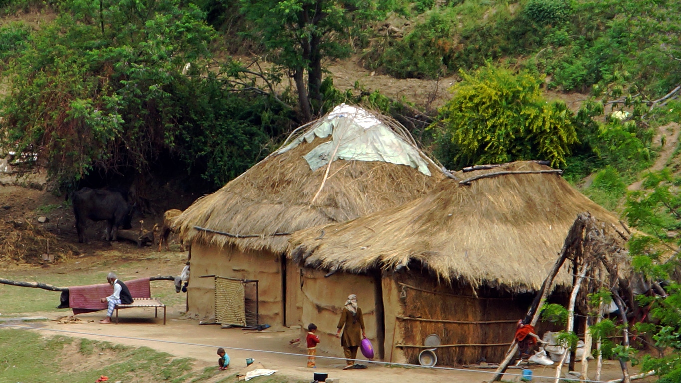 Toits de chaume, murs de terre, dans la région de Rohru, Rampur (Himachal Pradesh) Lors de mes voyages en Inde