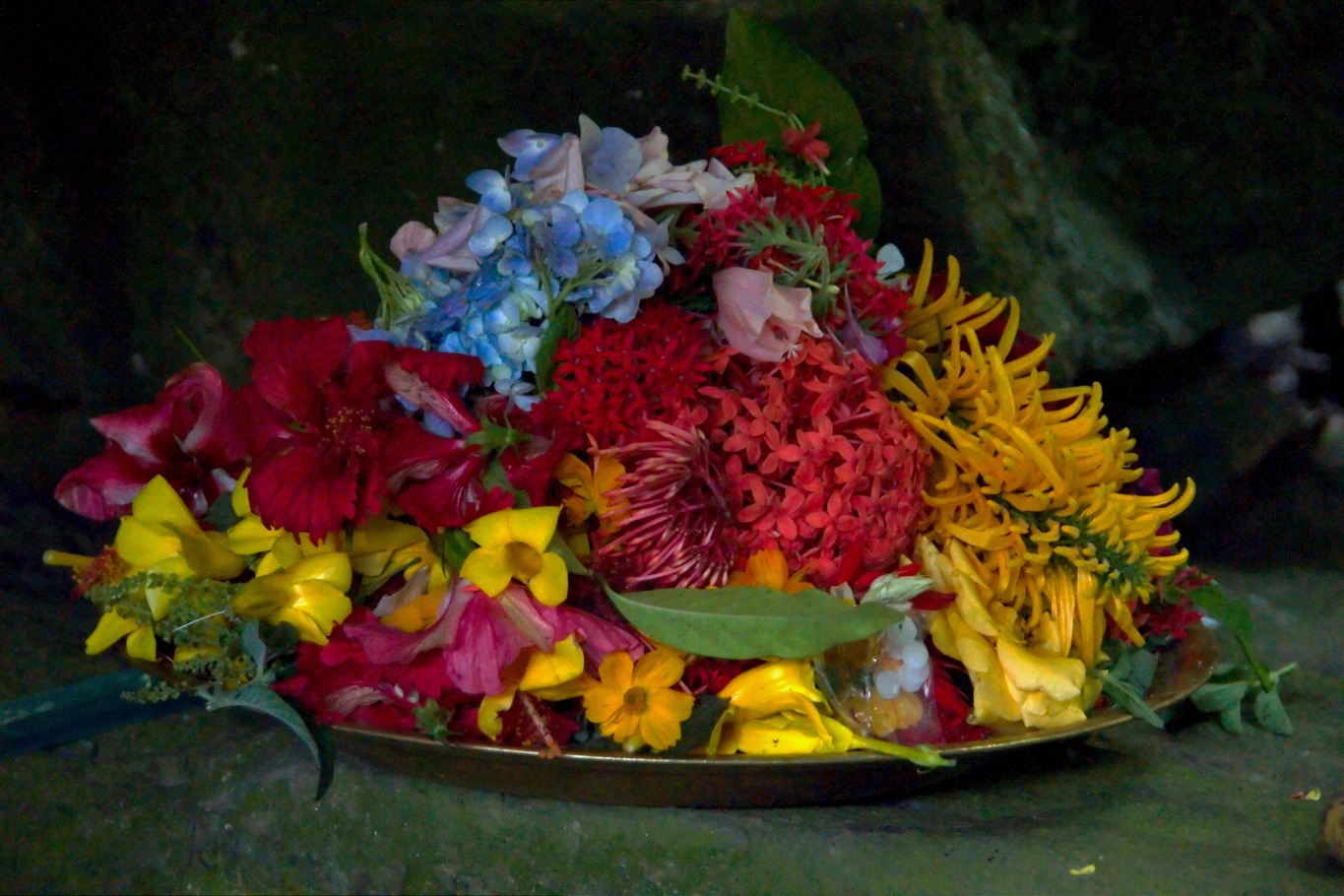 Offrande de fleurs le jour de Maha Shivarathri Madikeri Coorg Lors de mes voyages en Inde