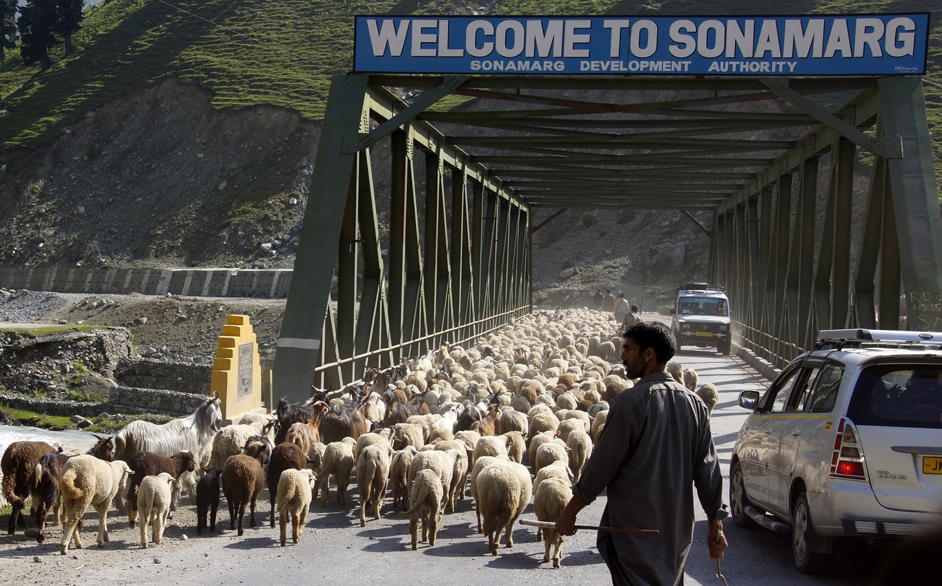 la transhumance des moutons obstrue le pont de Sonamarg Cachemire Srinagar