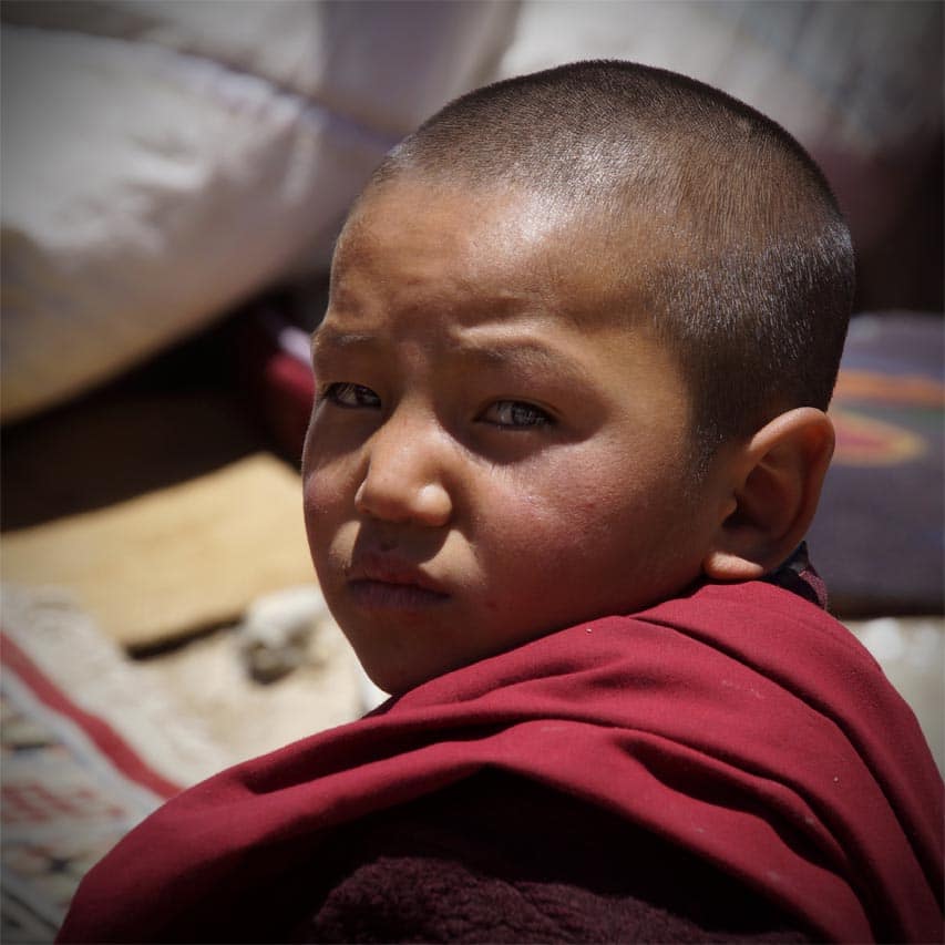 Superbe portrait de jeune enfant moine au monastère de Karcha Zanskar