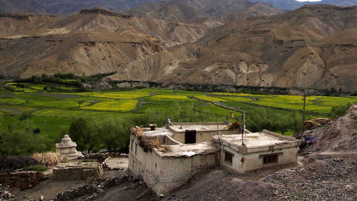 Maison ladakhi typique et chorten dominant les vertes cultures de la vallée entre Kargil et Lamayuru Ladakh