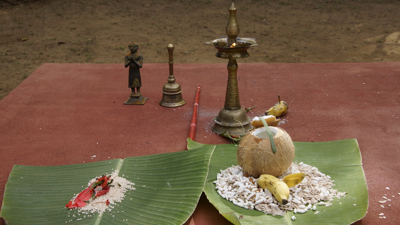 Rituel du theyyam - petit autel au ras du sol dans un kaavu - Kannur - Malabar