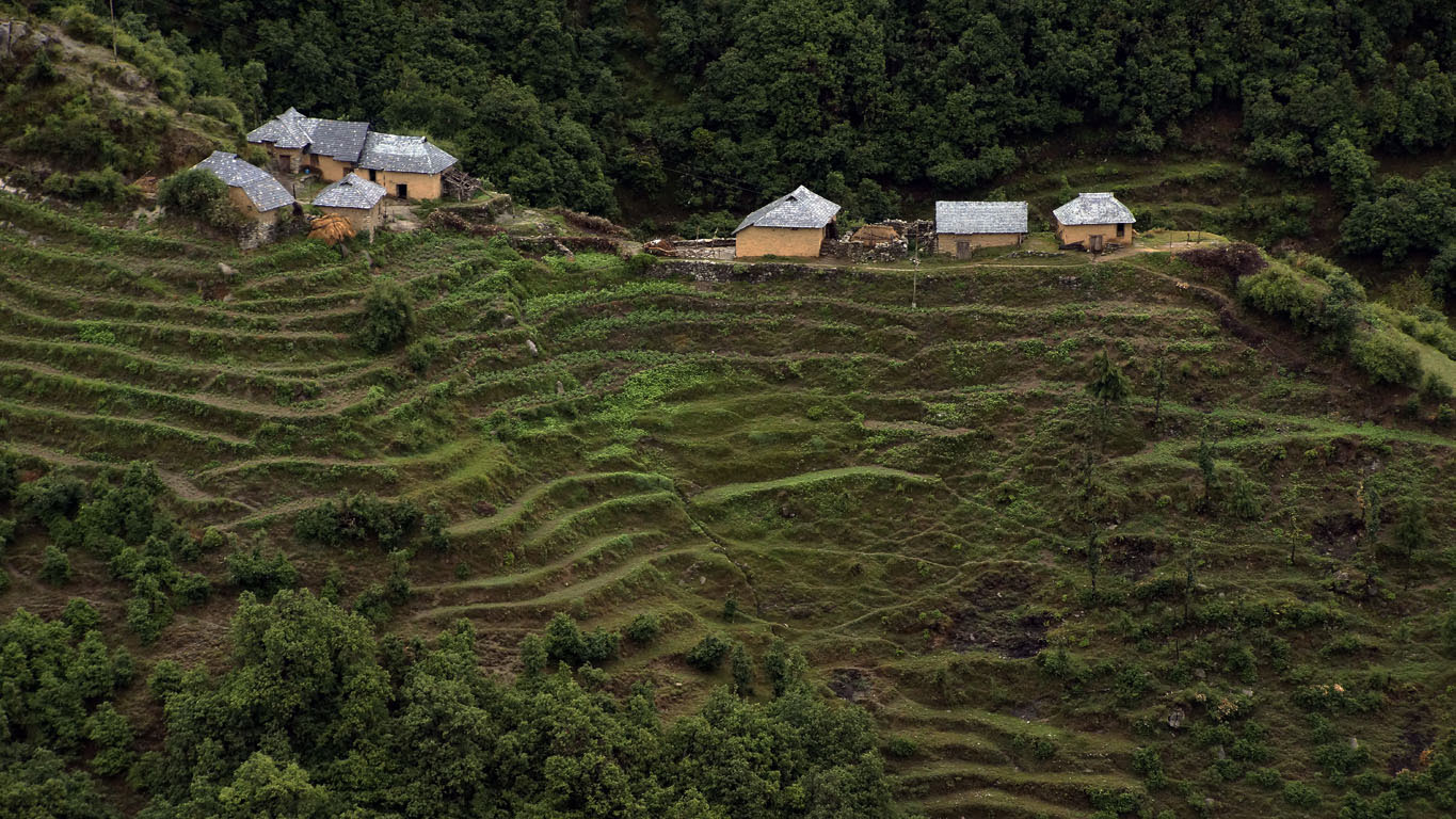 Un joli hameau aux maisons orangées au milieu du vert des cultures en terrasses vers Chamba en provenant de Dharamsala - Himachal Pradesh