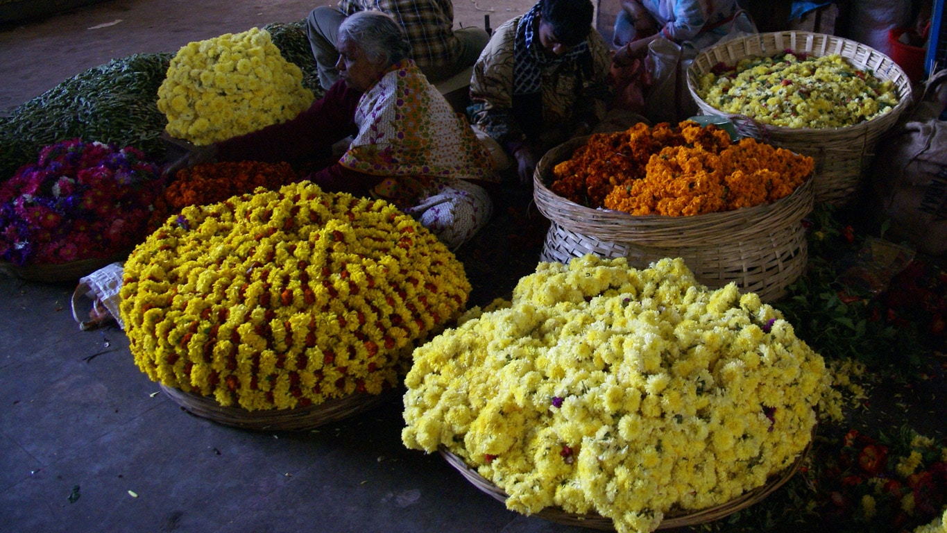 Marchande de fleurs entourée de ses corbeilles au city market Bangalore